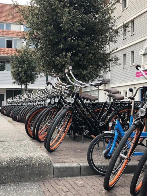 Welkom In Dekreek V59, Dem Freundlichen Ferienhaus Bruinisse Exteriör bild